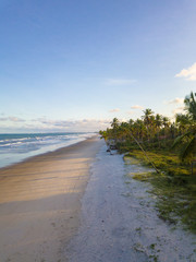 Top View of Paradise Beach