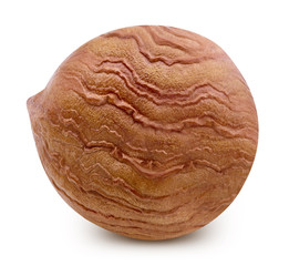 Fototapeta premium Hazelnut isolated Clipping Path
