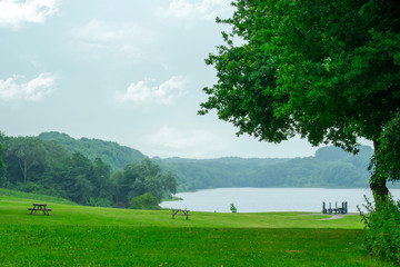 Closeup of Lonely big tree on the bank of the river with cloudy sky in a wonderful landscape view in a Greenland springtime