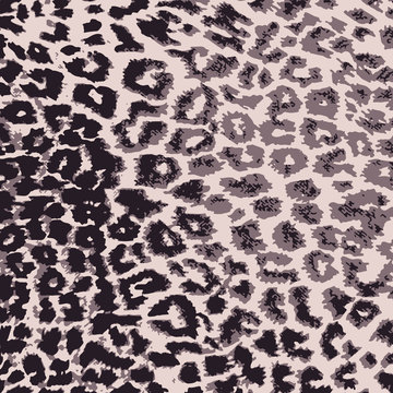 Animal print, leopard texture background