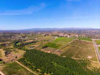 Fototapeta na wymiar Aerial top view of vineyards landscape from above background, Portugal