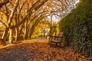 Peaceful autumn scenery in Princeton, New Jersey featuring fallen leaves on the foreground