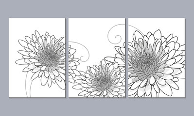 A set of 3 canvases for wall decoration in the living room, office, bedroom, kitchen, office. Home decor of the walls. Floral background with flowers of chrysanthemum. Element for design. 