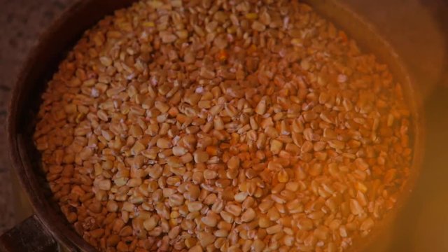 corn in the grain