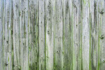 Closeup of Old dirty green wooden fence wall texture