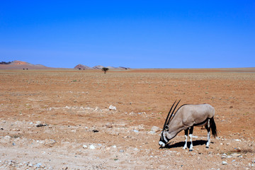 Namibia