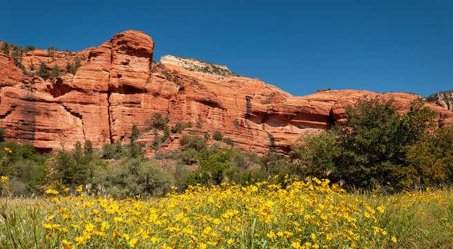Red Rocks with Yellow Flowers