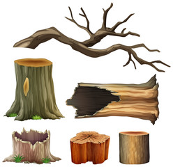 Set of tree wood