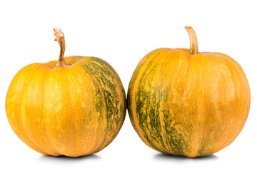 pumpkin isolated on white background