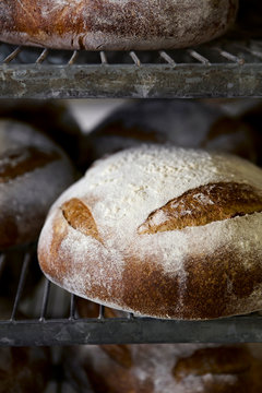 An artisan loaf of bread cools on a rack.