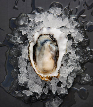 A royal miyagi oyster rests on a bed of ice on a black surface.