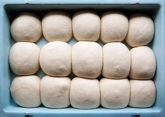 Rolls of pizza dough rise in a blue bin.
