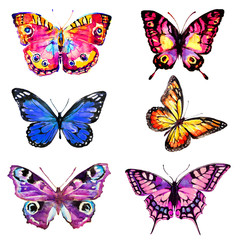 Fototapeta na wymiar beautiful color butterflies, set, watercolor, isolated on a white