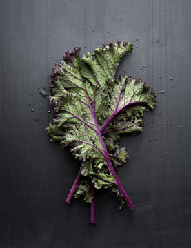 Red kale on metal background