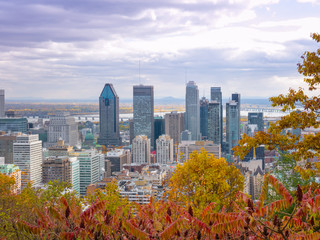 Fototapeta premium Montreal during autumn season, Qc, Canada