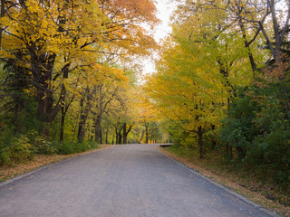Road in the Mount-royal park, Montreal, Canada