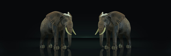 huge elephant in dark background. 3d rendering
