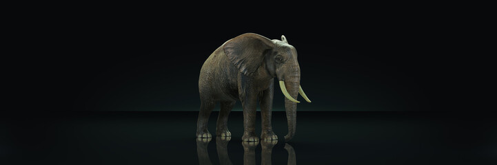 Fototapeta na wymiar huge elephant in dark background. 3d rendering