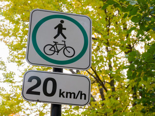Bike lane go straight and speed limited signs.