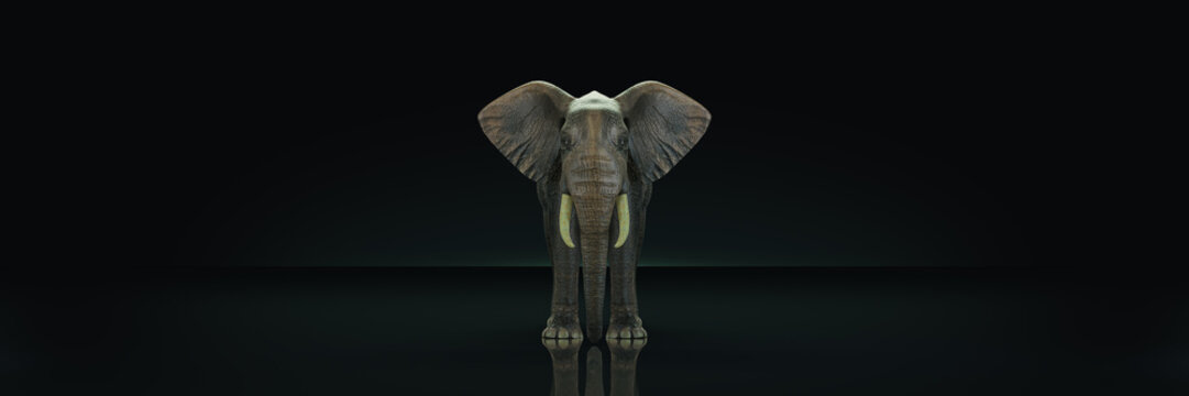 huge elephant in dark background. 3d rendering
