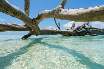 Marine Landscape of Pearl Island, Semporna, Malaysia