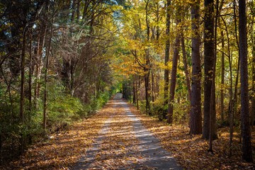 Autumn Greenway