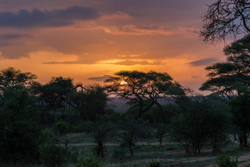 Fototapeta na wymiar sunset in the Serengeti