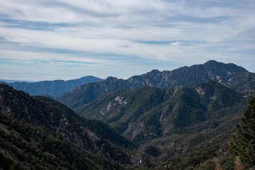 Naklejka premium Angels Crest Highway