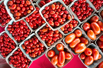 Grape, plum, and regular red tomatoes  for sale at a weekend farmers market in St. Pete Beach, Florida.