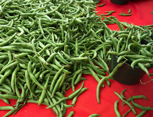 Fresh green beans for sale at a weekend farmers market in St. Pete Beach, Florida.