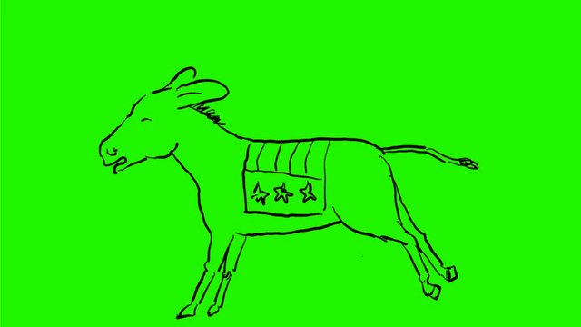 2d Animation motion graphics showing a drawing of a burro, donkey or jackass with American USA stars and stripes flag on back kicking on white and green screen with alpha matte in HD high definition.