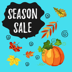 Season sale banner with fall leaves, pumpkin and rowan