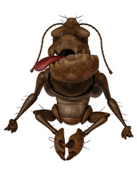 cockroach cartoon in white background