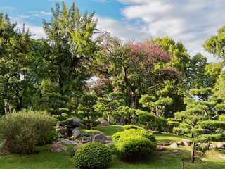Fototapeta na wymiar Buenos Aires Japanese Garden
