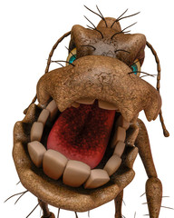 cockroach cartoon in white background