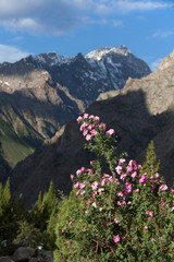 Landscapes of Karakoram range in Pakistan.