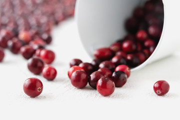 Fresh ripe cranberries on white