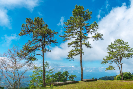 Clearly landscape view at Huai Nam Dang national park fell relax and calm
