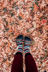 Sock and Sandals on Fall Leaves
