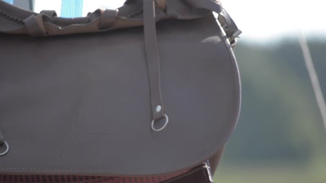 Leather hunting bag with brown ornament with patronage. Medium close up.