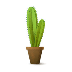Cactus with prickles in a flowerpot. House plant. Vector illustration