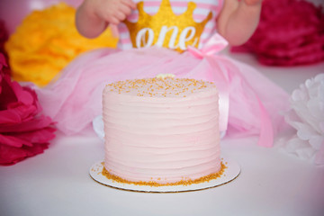 First Birthday Cake Smash