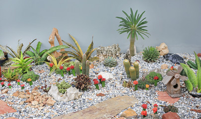 Small cactus garden.