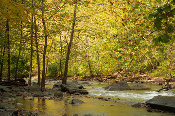 Autumn view of the creek flowing among rocks