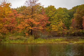 Autumn leaves frames the bird refuge