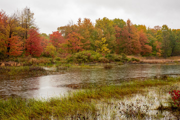 Autumn leaves frame the bird refuge