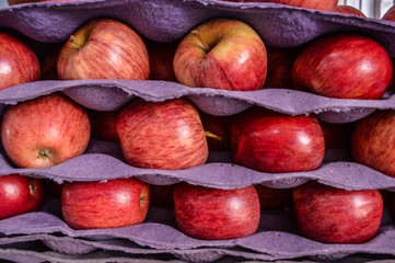 red apples in purple boxes
