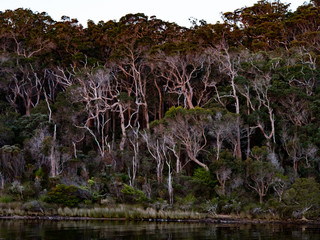 Walpole inlet, Western Australia