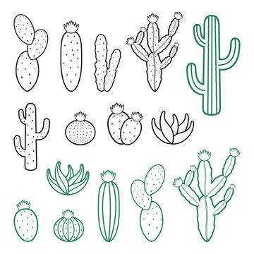 Cacti Cactus Plant Line Silhouette Design Illustration Set