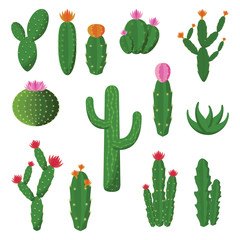 Cute Cactus Cacti Plant Flat Design Illustration Set